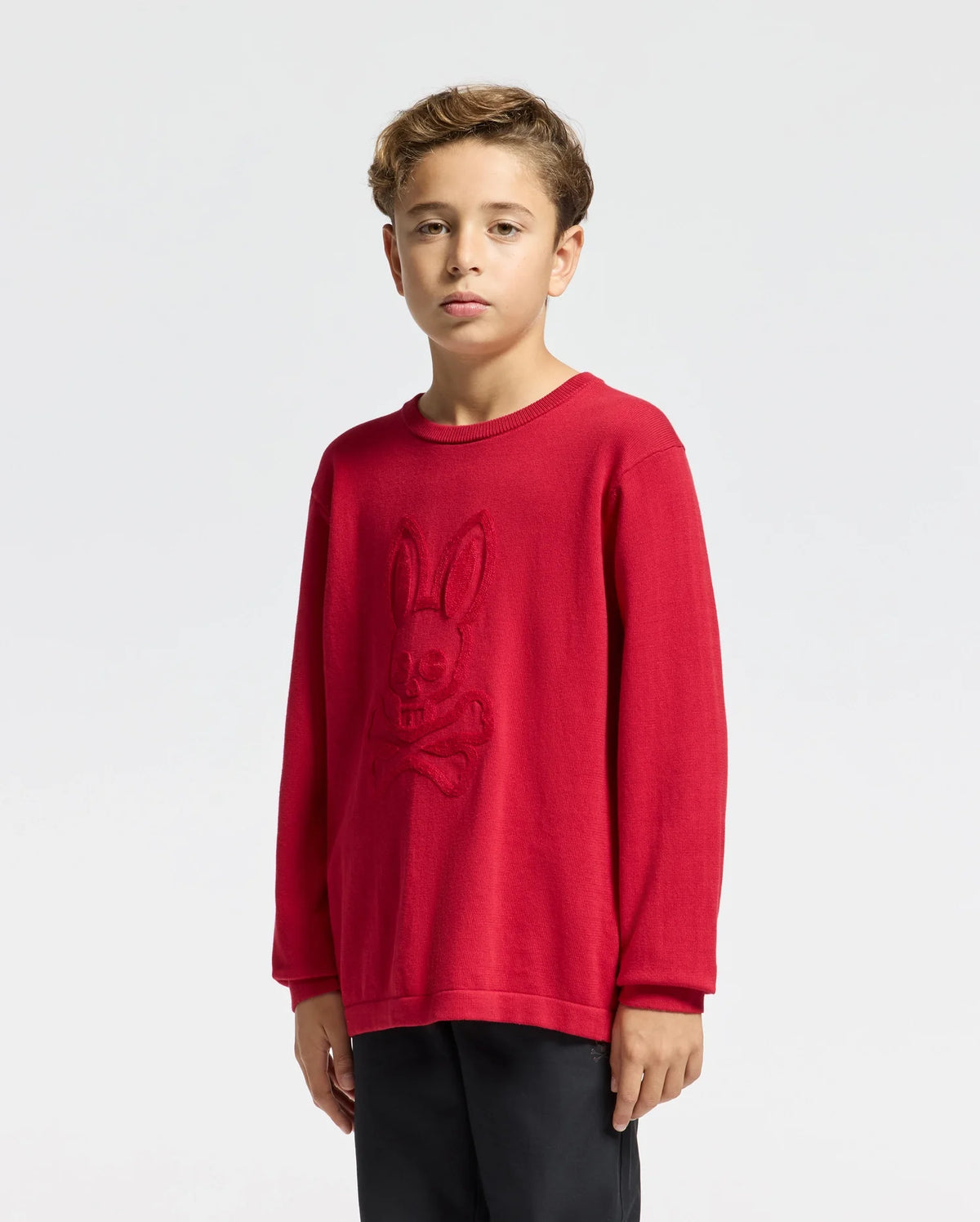 A young boy with short, light brown hair wears Psycho Bunny's KIDS COORY CHAINSTITCH COTTON SWEATER - B0E893E200 in red, showcasing a bunny logo in chainstitch embroidery on the front. He stands against a plain white background, gazing neutrally at the camera.
