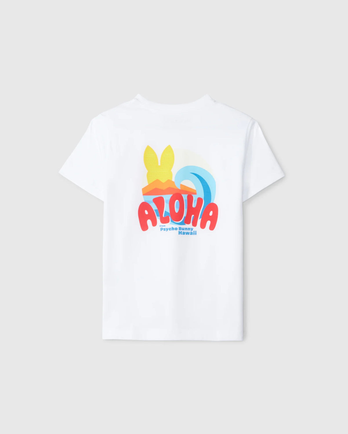 flat back view of kids pima cotton hawaii city tee