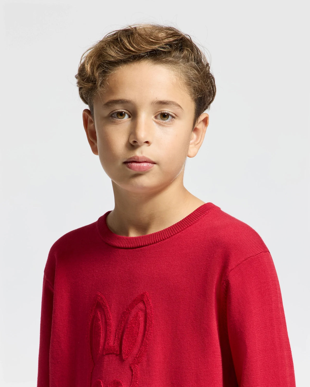 A young boy with short, wavy hair wears the Psycho Bunny KIDS COORY CHAINSTITCH COTTON SWEATER (B0E893E200), featuring an embossed rabbit design and intricate chainstitch embroidery. Crafted from extra fine cotton, he stands against a light gray background, looking directly at the camera with a neutral expression.