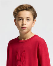 A young boy with short, wavy hair wears the Psycho Bunny KIDS COORY CHAINSTITCH COTTON SWEATER (B0E893E200), featuring an embossed rabbit design and intricate chainstitch embroidery. Crafted from extra fine cotton, he stands against a light gray background, looking directly at the camera with a neutral expression.