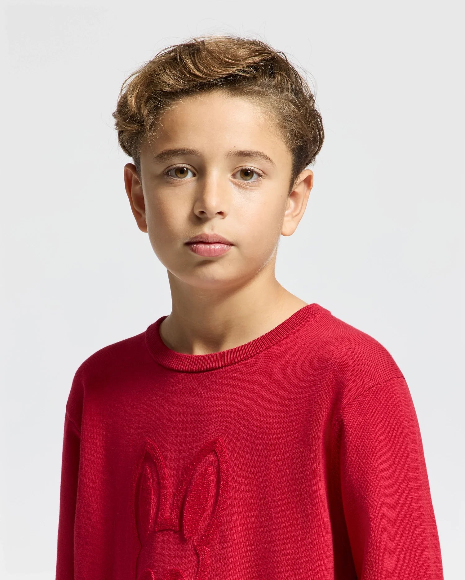 A young boy with short, wavy hair wears the Psycho Bunny KIDS COORY CHAINSTITCH COTTON SWEATER (B0E893E200), featuring an embossed rabbit design and intricate chainstitch embroidery. Crafted from extra fine cotton, he stands against a light gray background, looking directly at the camera with a neutral expression.