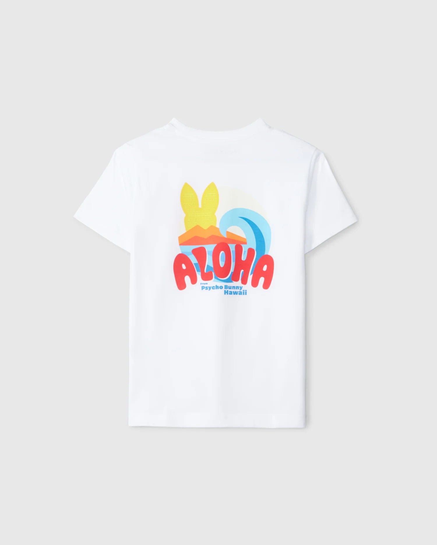 flat back view of kids pima cotton hawaii city tee