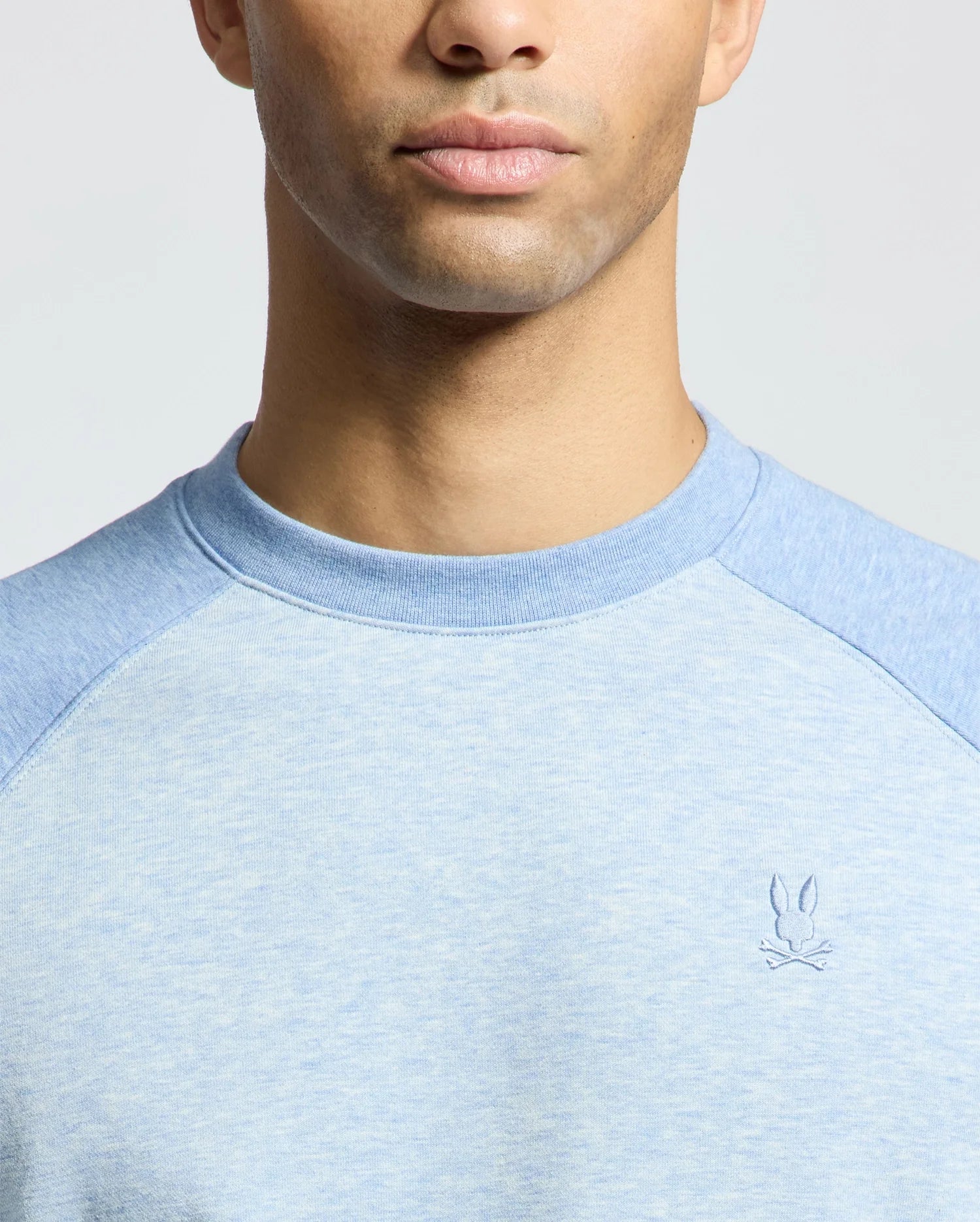A man is shown from the shoulders up wearing the Psycho Bunny MENS ARCHIE SWEATSHIRT, a light blue cotton jersey featuring an embroidered Bunny logo on the chest. The background showcases a monochrome style with a neutral, light color.