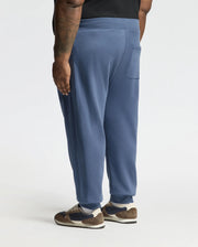 MENS BIG AND TALL LEVY ESSENTIAL FLEECE SWEATPANT - B9P721D200
