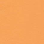 color_swatch