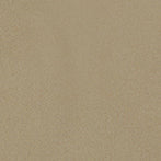 color_swatch